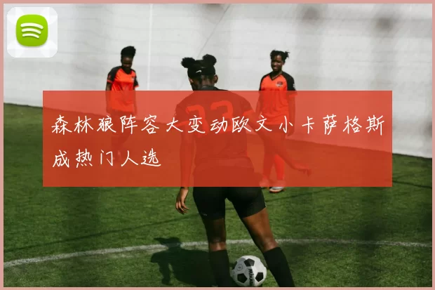 森林狼阵容大变动欧文小卡萨格斯成热门人选